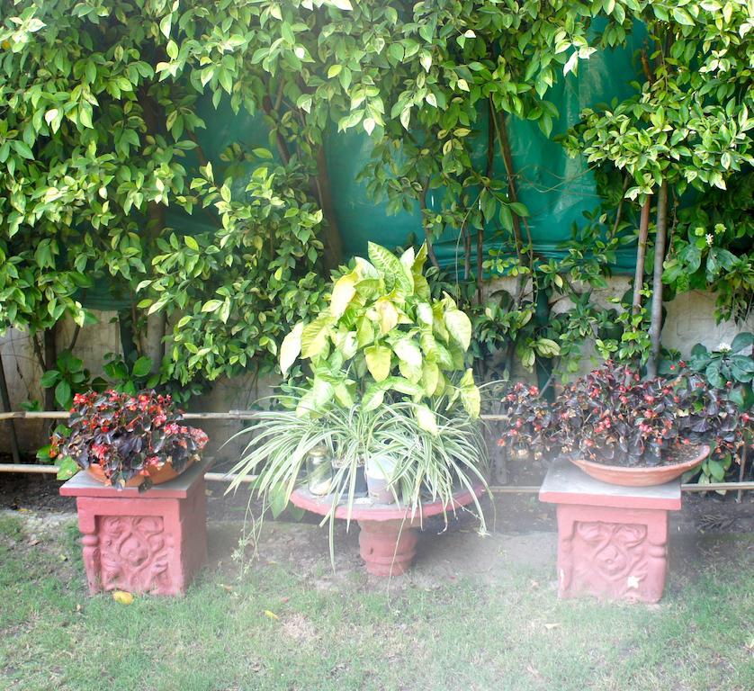 Sirohi House Neu-Delhi Exterior foto