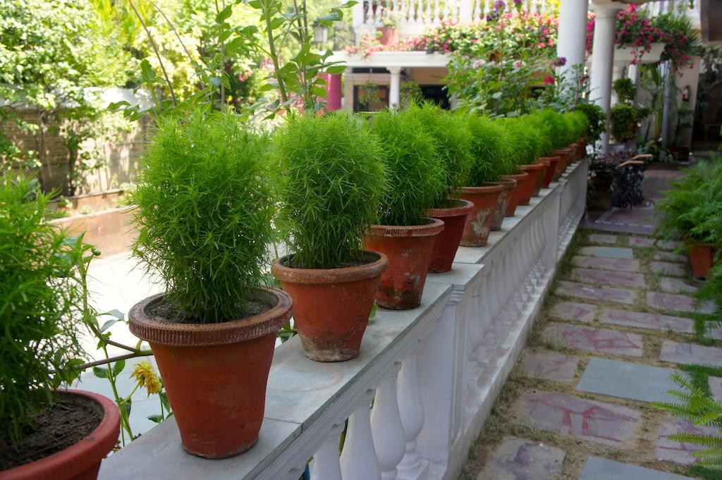 Sirohi House Neu-Delhi Exterior foto